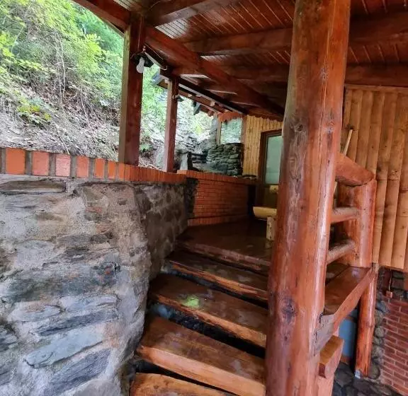 ペンション Căbănuța Cocoțată