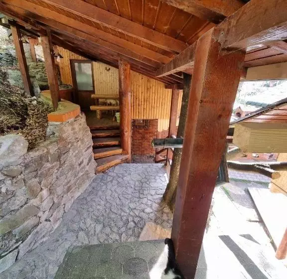 ペンション Căbănuța Cocoțată