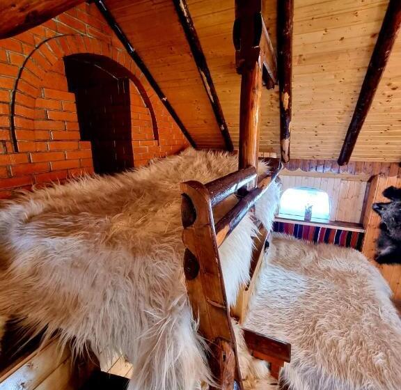 ペンション Căbănuța Cocoțată