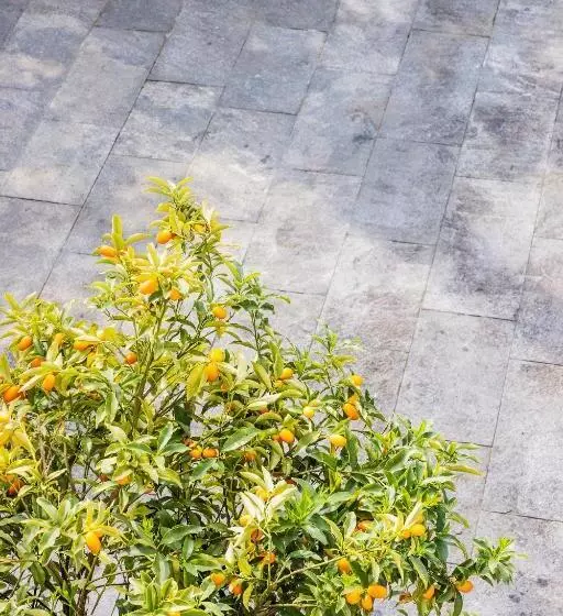 Villa Magnolia   Boutique Superior Rooms