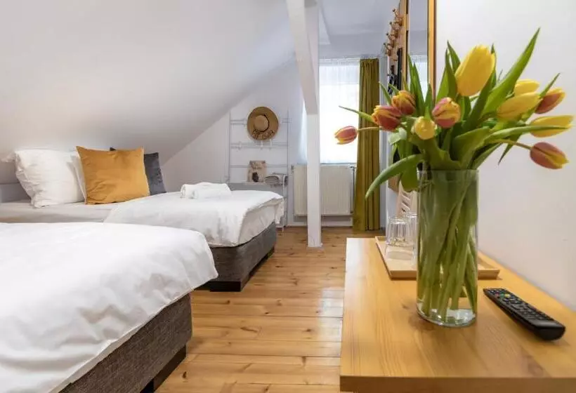 Aamiaismajoitus (B&B) Hagyma Panzió