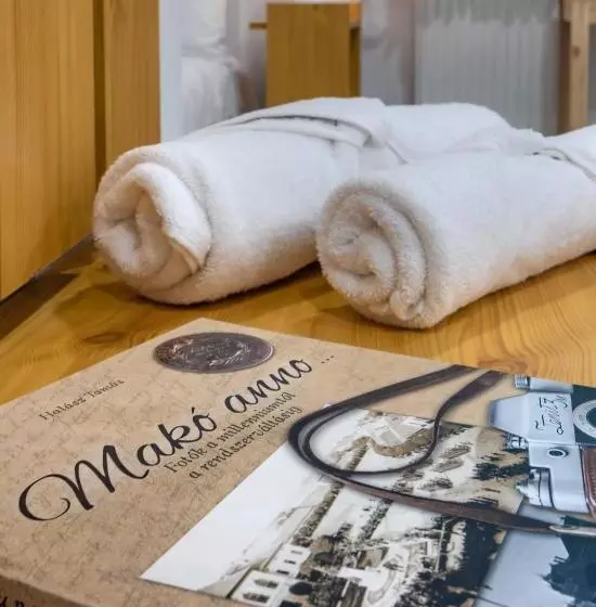 Aamiaismajoitus (B&B) Hagyma Panzió