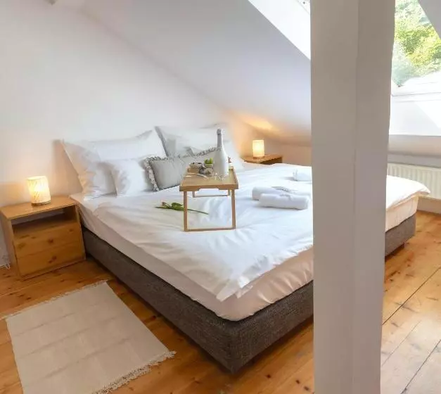 Aamiaismajoitus (B&B) Hagyma Panzió