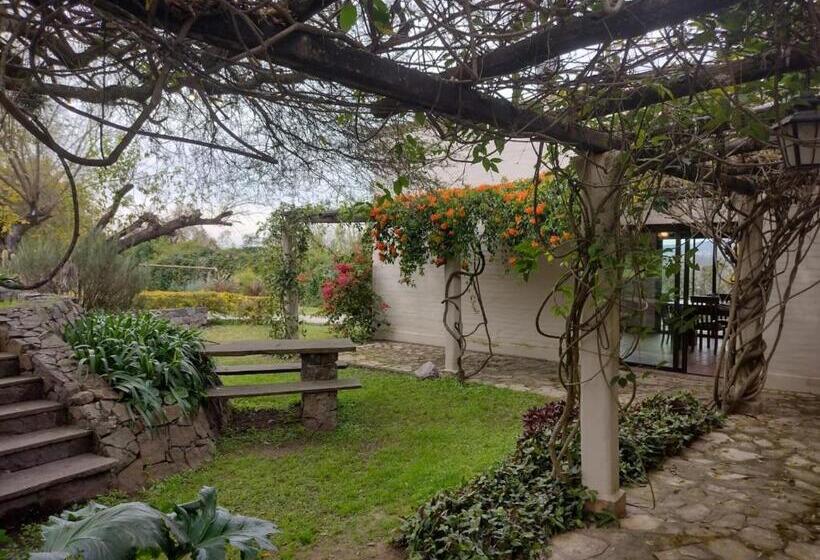 Campomora  5 Min Del Centro   Confort   Parrilla & Pileta