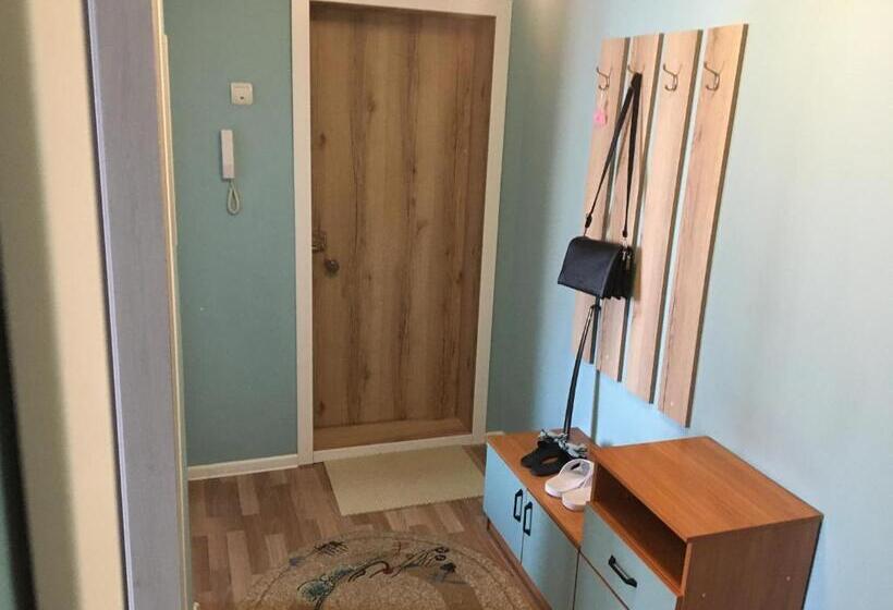 Lux Home на берегу ульбы