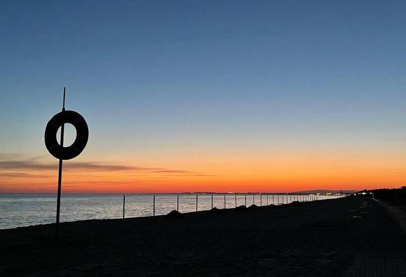 Scarlet S Place 1 Bed Victory Village Quinta Do Lago Beach, Nature, Lakes