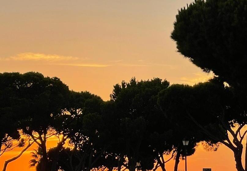 Scarlet S Place 1 Bed Victory Village Quinta Do Lago Beach, Nature, Lakes