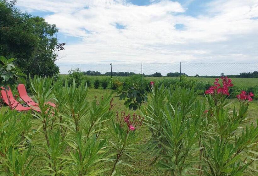 Summerside Apartman Harkány