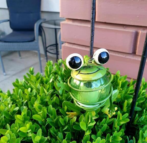 Summerside Apartman Harkány