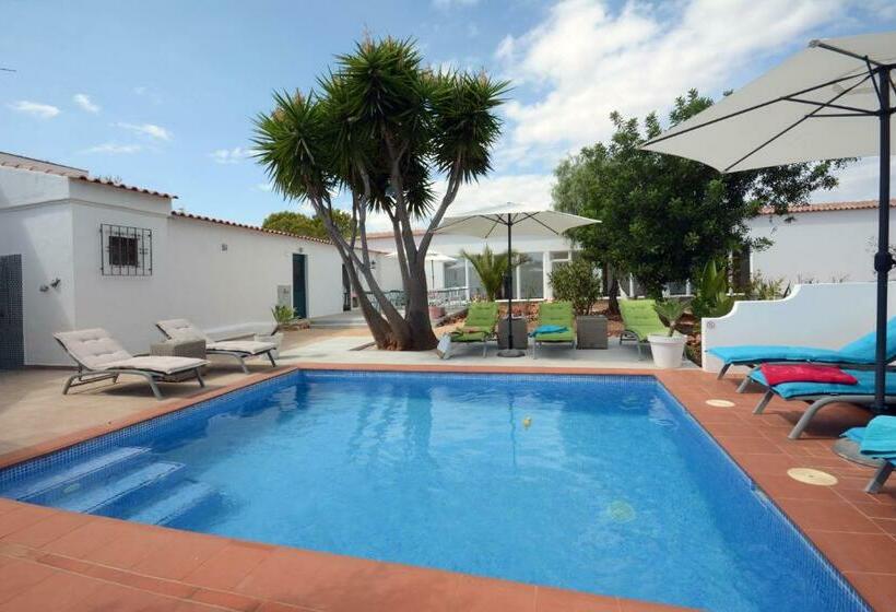 住宿加早餐  Quinta Das Piteiras Turismo Rural