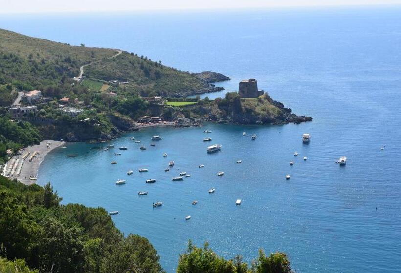 Bed & Breakfast Domus Pepe Scalea