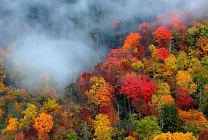 Smokies Hill Top Cabin Mountain Views 2 Miles To Town Pet Friendly