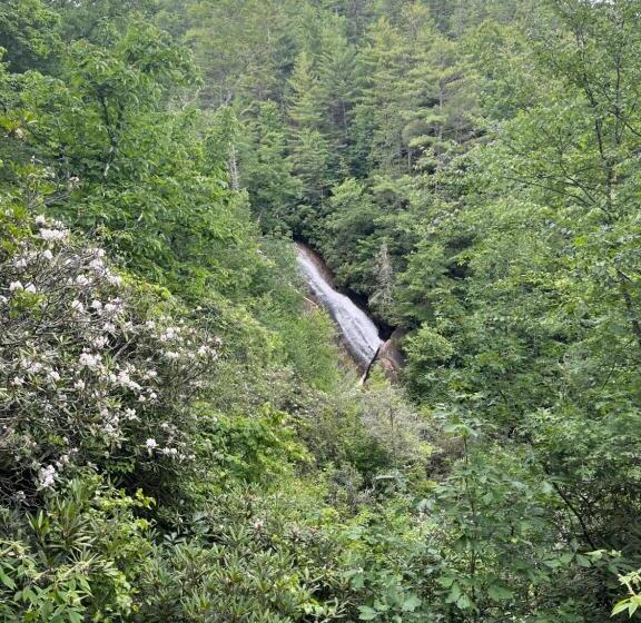 Smokies Hill Top Cabin Mountain Views 2 Miles To Town Pet Friendly