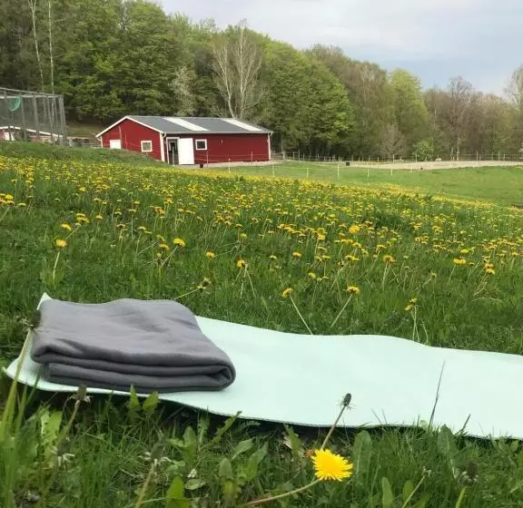 Stenlid   Med Naturen Och Lugnet I Fokus