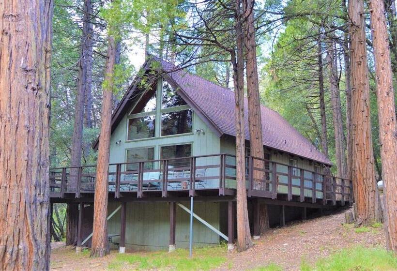 Trout River Cabin Secluded Riverfront Adventure