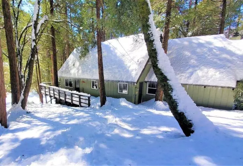 Trout River Cabin   Secluded Riverfront Adventure