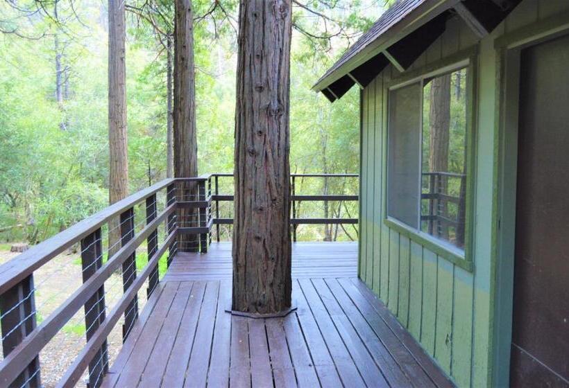 Trout River Cabin Secluded Riverfront Adventure