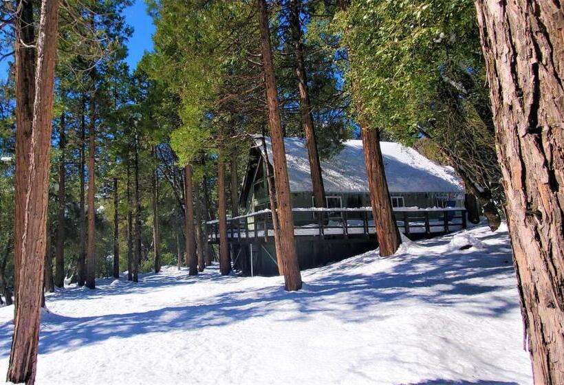 Trout River Cabin Secluded Riverfront Adventure
