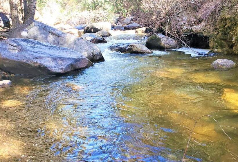 Trout River Cabin Secluded Riverfront Adventure