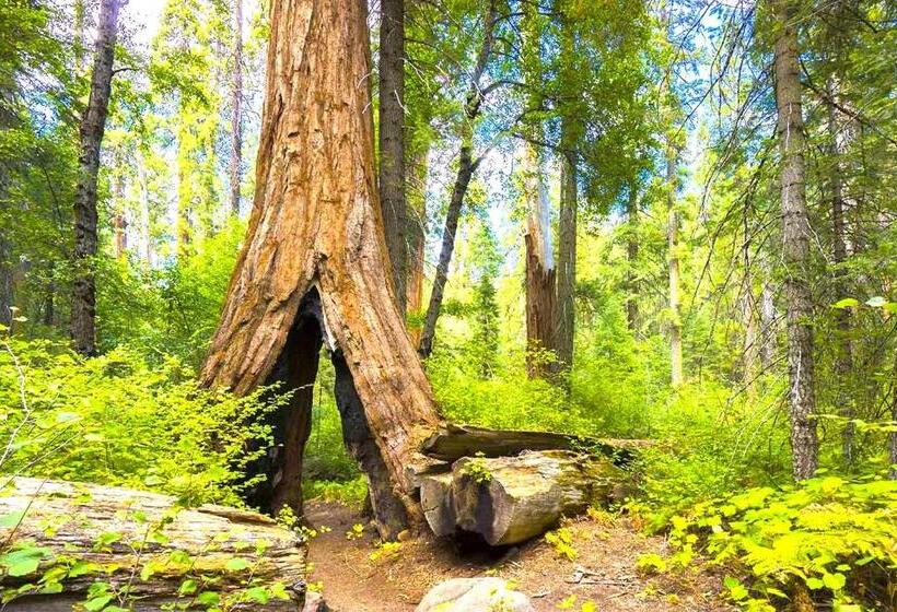 Trout River Cabin Secluded Riverfront Adventure