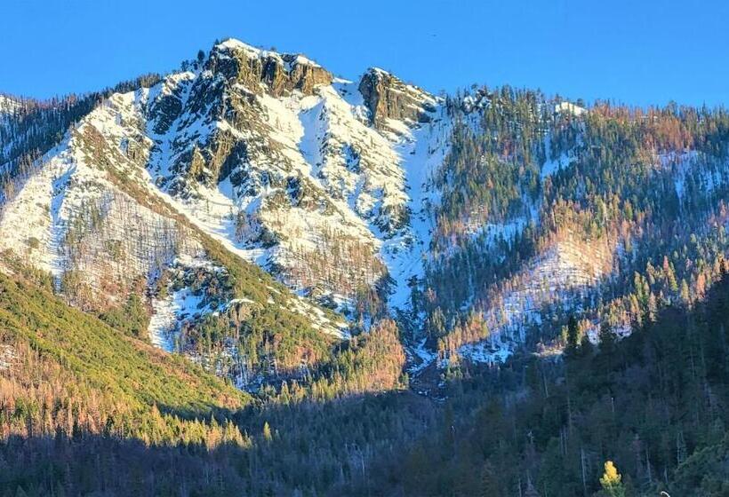 Trout River Cabin Secluded Riverfront Adventure