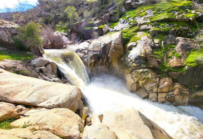 Trout River Cabin Secluded Riverfront Adventure