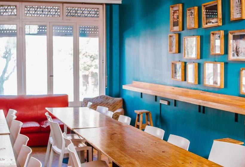 Hostel Playa Grande Suites