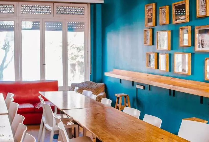 Hostel Playa Grande Suites