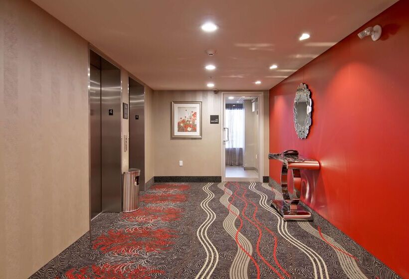 فندق Hampton Inn & Suites By Hilton Toronto Markham