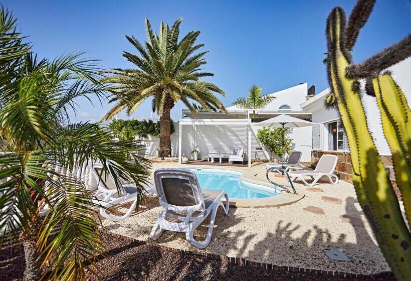 Stunning Villa With Breathtaking Ocean View