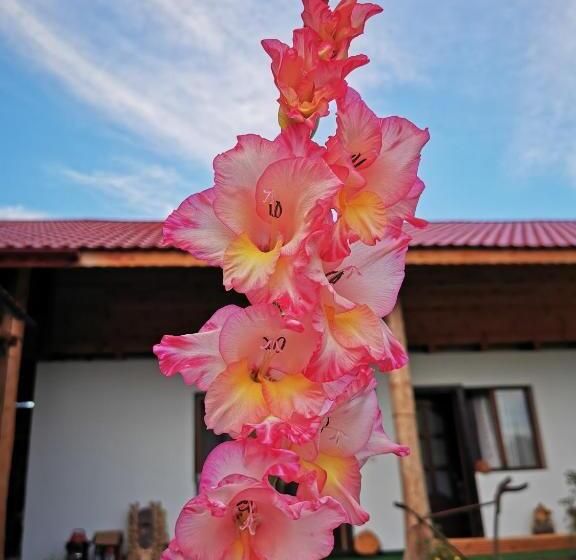 Hotel Jugul țăranului Agropensiune Polovragi, Gorj