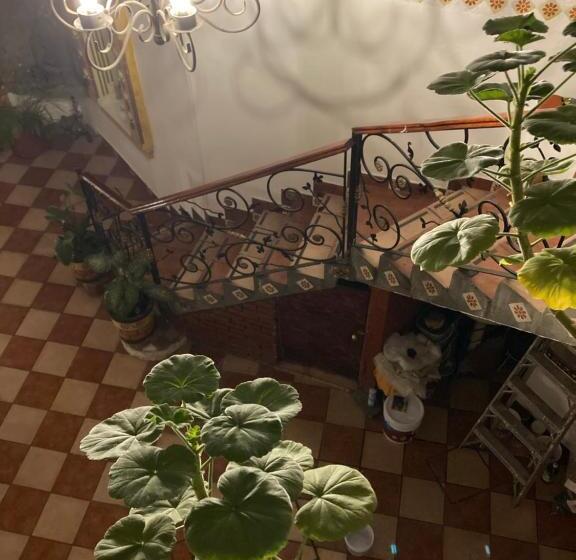 בית מלון כפרי Real Santo Domingo