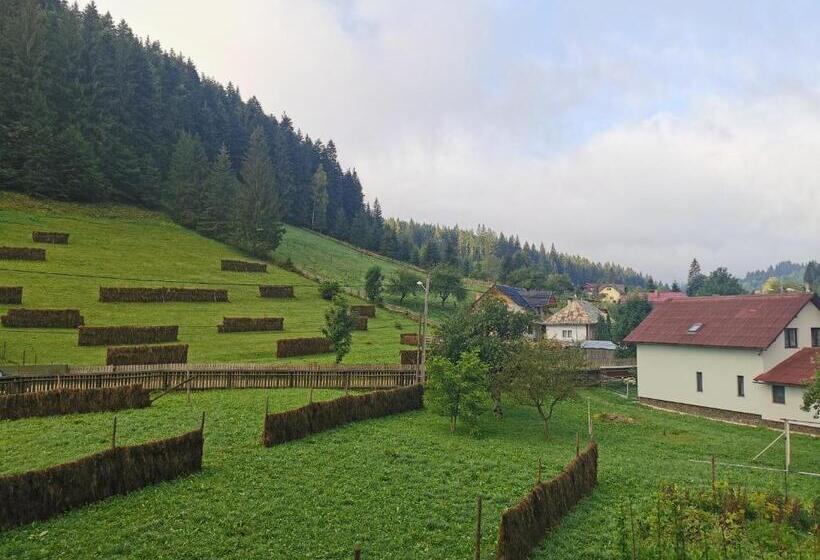 پانسیون Casa De Pe Vale