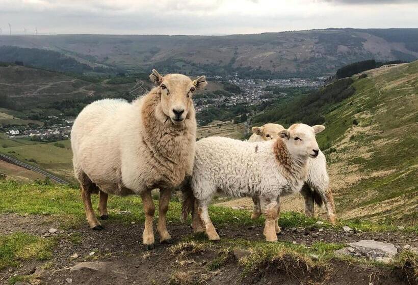 Rhondda Tunnel Cottage By Staystaycations