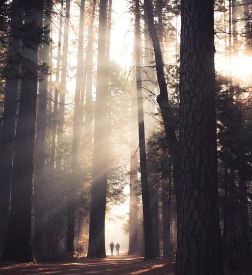 Rhondda Tunnel Cottage By Staystaycations