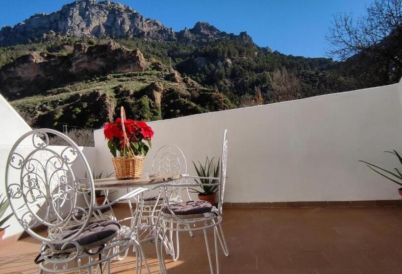 Alojamiento Yolanda Cazorla