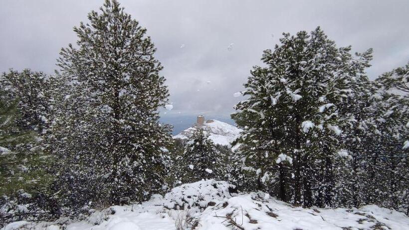 Alojamiento Yolanda Cazorla