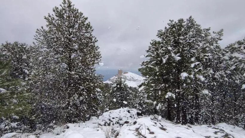 Alojamiento Yolanda Cazorla