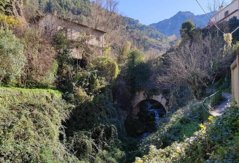 Alojamiento Yolanda Cazorla