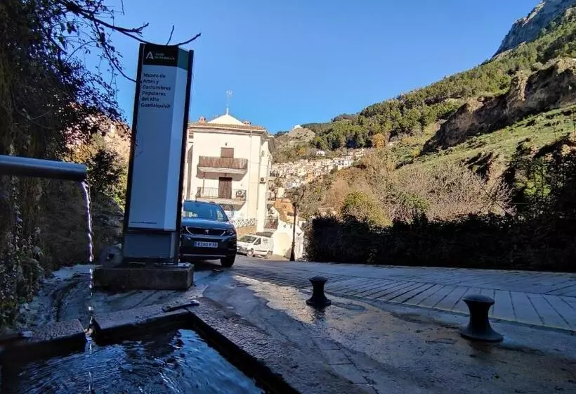 Alojamiento Yolanda Cazorla