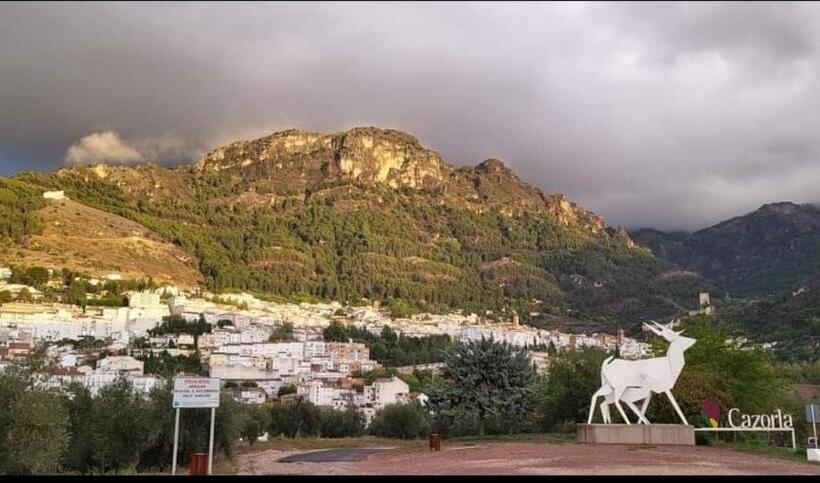 Alojamiento Yolanda Cazorla