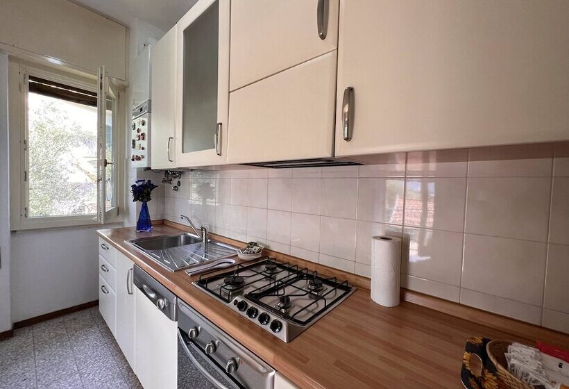 Joivy Enjoy The Silence