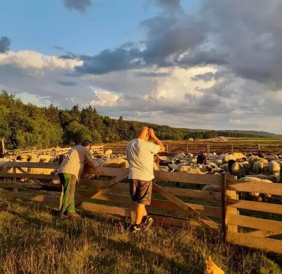 Majatalo Muzsikás Vendégház