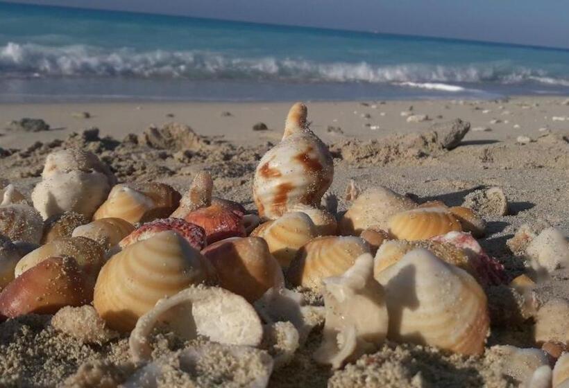 شاليهات بورتو مطروح فيو بحر Porto Matrouh Sea View Families Only