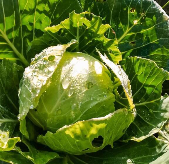 Bed and Breakfast Galeta Masseria