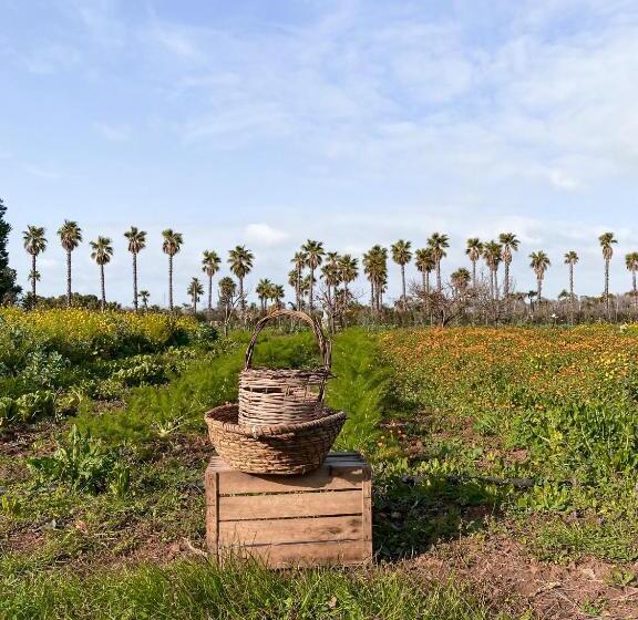 Bed and Breakfast Galeta Masseria