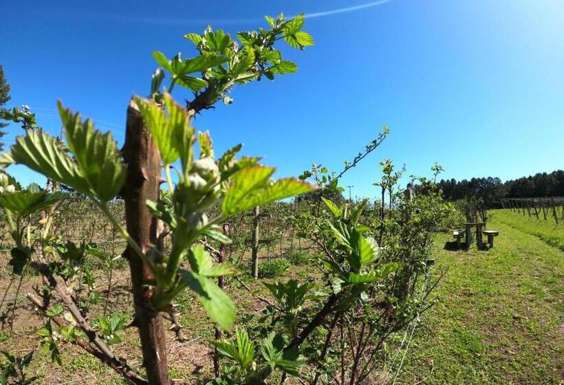 Chalé Romântico Com Banheira De Hidromassagem E Lareira