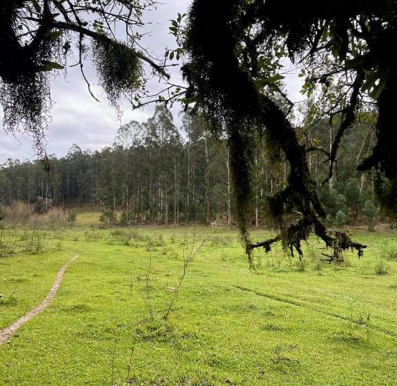 Chalé Romântico Com Banheira De Hidromassagem E Lareira