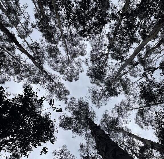 Chalé Romântico Com Banheira De Hidromassagem E Lareira