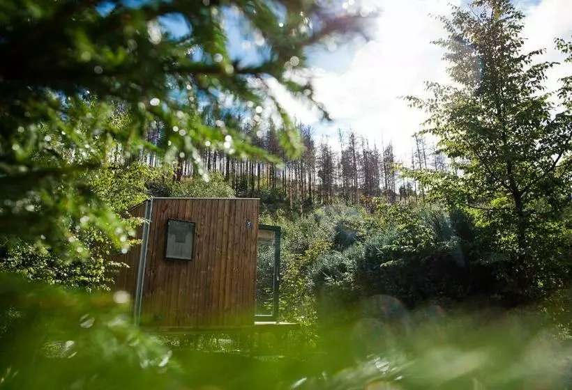 Green Tiny Village Harz  Sleep Space 22